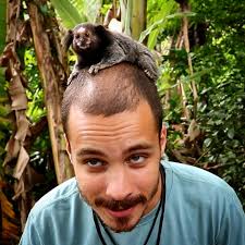 Definição de parceria essa foto. Sagui-de-tufo-preto (Callithrix  penicillata) . . #saguidetufopreto #callithrixpenicillata #sagui  #callithrix #macaco #primata #bicho #animal #animais #animaissilvestres  #natureza #natural #meioambiente #eco #fauna ...