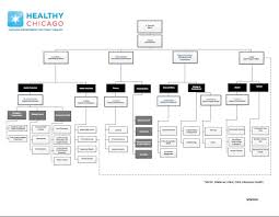 City Of Chicago Public Health Our Structure