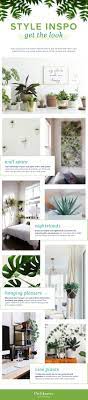 Check spelling or type a new query. 21 Small Indoor Plants For Apartment Living Proflowers