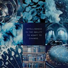 Dnd d&d dungeons and dragons player characters pcs aesthetic. Sprout Aesthetics D D Schools Of Magic Transmutation You Are A