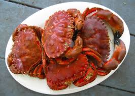 A star rating of 4.5 out of 5. Shellfish Recipes