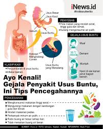 Apakah tidak rutin buang air besar setiap hari berarti anda kurang sehat? Ayo Kenali Gejala Penyakit Usus Buntu Ini Tips Pencegahannya Bagian All