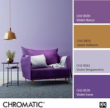 Deco De Salon En Couleurs Complementaires Deco Violet Couleur Complementaire Coussin Violet