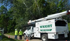 Wright Tree Service Linkedin