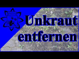 Unkraut Entfernen Ganz Einfach Auf Plaster Fugen Und Gewegen Kein Problem Youtube Unkraut Entfernen Unkraut Coole Pflanzen