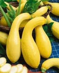 Golden Crookneck Summer Squash Etsy Squash Seeds Crookneck Squash Summer Squash