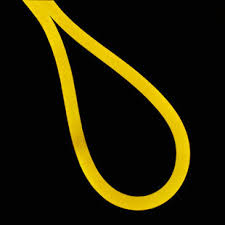 Check spelling or type a new query. Yellow Neon Led Strip Light 120v Ac
