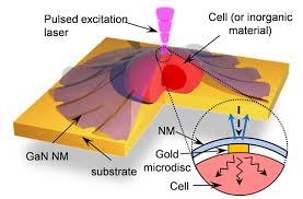 How many different cancers are. Thermal Transport Biosensor Distinguishes Different Types Of Cancer Advanced Science News