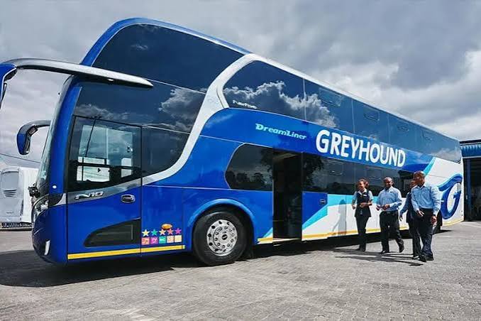 Greyhound