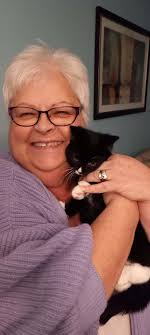 💙 Zorro's Happy Ending! 💙 Remember sweet Zorro, the kitten who needed a  special trip to the veterinary cardiologist? 🐾 Thanks to your kindness, he  got the care he needed — and