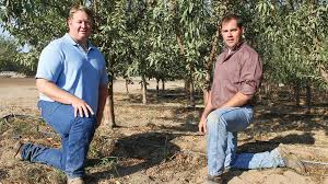 Check spelling or type a new query. High Density The Future Of Almonds Growing Produce