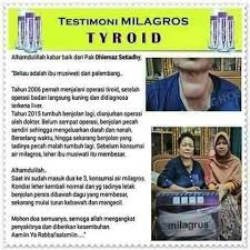 Sd negeri sidotopo wetan ii 256 berstatus negeri, dengan lama pelaksanaan pelajaran dalam seminggu adalah double shift/6 hari. Milagros Indonesia Asia Jl Sedayu 1 No 9 Surabaya Surabaya 2021