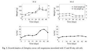 In this video, we discuss what is suspension culture, types, growth curve and the viability tests suspension culture refers to shaking the cell or tissue in. Establishment Of Cell Suspension Cultures Of Two Costa Rican Jatropha Species Euphorbiaceae