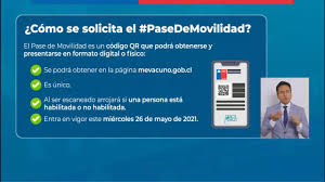 El 'carnet verde' sería utilizado para certificar que uno está vacunado con las dos dosis y que tiene más de 14 días después de la segunda. Apgwkut1gsxrgm