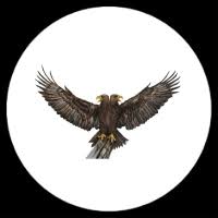 Fayansları defolu almanı öneririm daha ucuz. Ev Almak Mi Ev Yaptirmak Mi Yesilkart Forum