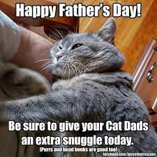 Pin By Jo Allen On Kittycat Greetings Father S Day Memes Happy Fathers Day Happy Fathers Day Funny