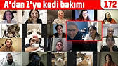 Annesiz Yavru Kedi Nasil Beslenir Hepsini Konustuk Sut Verilir Mi Verilmez Mi Youtube