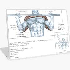 You can do this exercise seated, as shown, or standing. Chin Up Exercise Diagram Laptop Skin By Superfitstuff Redbubble