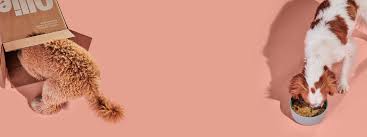 Thanks for sniffing us out!