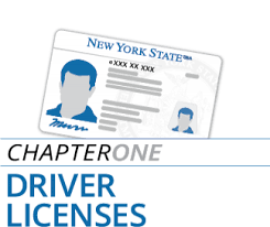 B.are cited for a traffic violation. New York Dmv Chapter 1 Driver Licenses