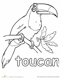 Maybe you would like to learn more about one of these? Toucan Worksheet Education Com Bird Coloring Page Coloring Pages Animal Coloring Page