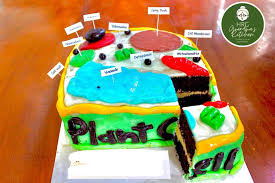 Maybe you would like to learn more about one of these? Edible Plant Cell Model Flavor Hrg Grandma S Kitchen Facebook