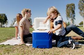 Check spelling or type a new query. Buy Igloo 16 Quart Laguna Roller Ice Chest Cooler With Wheels Blue Online In Taiwan 156115024