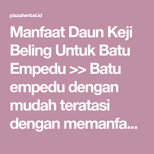 Pin Di Pilihan