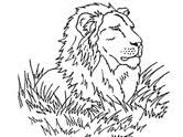 Coloring is a fun way for kids to be creative and learn how to draw and use the colors. Lions Coloring Pages