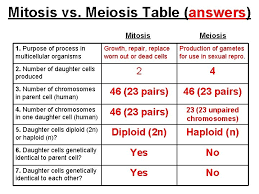 Check spelling or type a new query. Chapter Terms 1 Diploid 2 Haploid 3 Autosomes