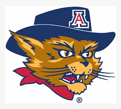 Arizona Wildcats Iron Ons - University Of Arizona Wildcats Mascot - Free  Transparent PNG Download - PNGkey