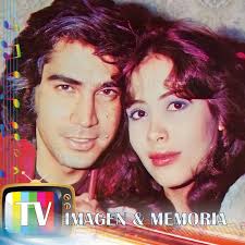 Residencia de Señoritas 📺 RCTV- Año 1977 Escrita por Salvador Garmendia  Protagonistas: MAYRA Alejandra (Violeta) Y JOSÉ LUIS Rodríguez (Marcos  Villa) Actuación Especial de Hilda vera Antagonista: Carlos Olivier Tema  Musical: "Será