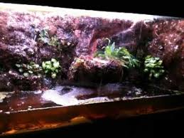Waterfall Paludarium Under Construction Hermit Crab Tank Hermit Crab Waterfall