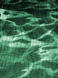 pin by sha long on aesthetic dark green aesthetic green aesthetic green photo
