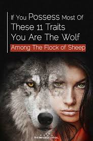 11 Signs You're A Wolf Surrounded By A Flock Of Sheep