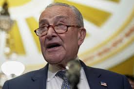 Politicians voting without understanding bills