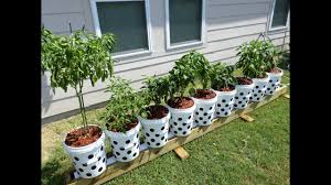Check spelling or type a new query. Recycled Bucket Gardening Container Gardening For Apartment Dwellers Gardening Forums