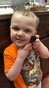 What are the ideal temperature and humidity settings for hatching eggs, and  what do you adjust it too