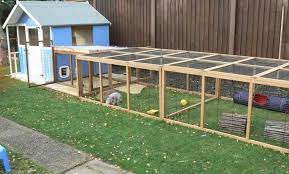 All living things®, carefresh®, oxbow, kaytee®, vitakraft® 9 Best Indoor And Outdoor Large Rabbit Run Ideas And Plans Petsmentor