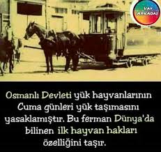 Osmanli Imparatorlugu Askeri Tarih Tarih Hayvan
