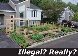 Check spelling or type a new query. When Is Your Private Property Not Your Own Whenever A Bureaucritter Of The Nanny State Says So Christopher Di Armani Com