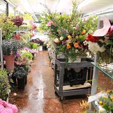<p>located in downtown san mateo, edmond's plaza florist offers a wide selection of cut flowers, floral arrangements, gourmet baskets and plants. Edmond S Plaza Florist San Mateo Flower Delivery High End Original Unique Same Day Delivery Largest Selection Of Floral Designs In The Usa