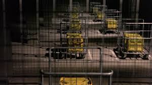 موقع ايجي بست egybest الاصلي لمشاهدة وتحميل الافلام والمسلسلات و الانمي مترجم مجاناً. Ù…Ø´Ø§Ù‡Ø¯Ø© ÙÙŠÙ„Ù… The Long Good Friday 1980 Ù…ØªØ±Ø¬Ù… ÙƒØ§Ù…Ù„ Hd Ø§ÙˆÙ† Ù„Ø§ÙŠÙ†