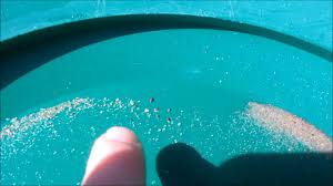 Most of the gold is found in the northern counties in missouri, near the missouri river. There Is Gold In Missouri Youtube