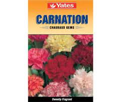 Yates Chaubaud Gems Carnation Flower Seeds Carnations Food Animals