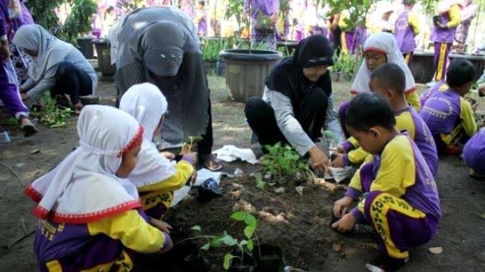 Hasil gambar untuk belajar menanam SAYUR"
