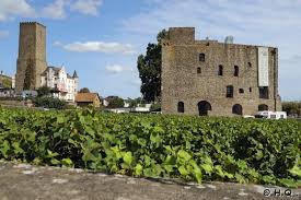 Die weiteren planungen werden zeitnah veröffentlicht. Rudesheim Im Rheingau Bromserburg Drosselgasse Rudesheimer Schloss Seilbahn Rudesheim Niederwaldbahn Niederwalddeckmal Weinlese Kloster Benediktinerabtei St Hildegard Niederwald Tempel Fachwerkhauser Weinschanken Pfarrkirche St Jakob Rudes