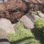 R AND D LANDSCAPING PINE STRAW AND MULCH LLC West Columbia, SC from m.facebook.com