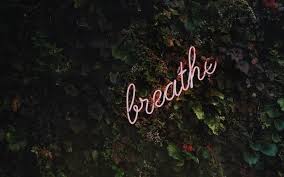 Maybe you would like to learn more about one of these? Can I Drink Coffee While Pregnant Death Wish Coffee Company