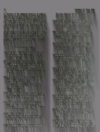 Image result for Sorghastrum fuscescens